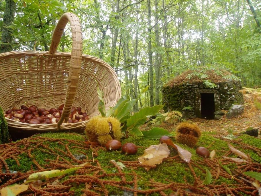 Casa Rural Margarita I Montánchez Eksteriør bilde